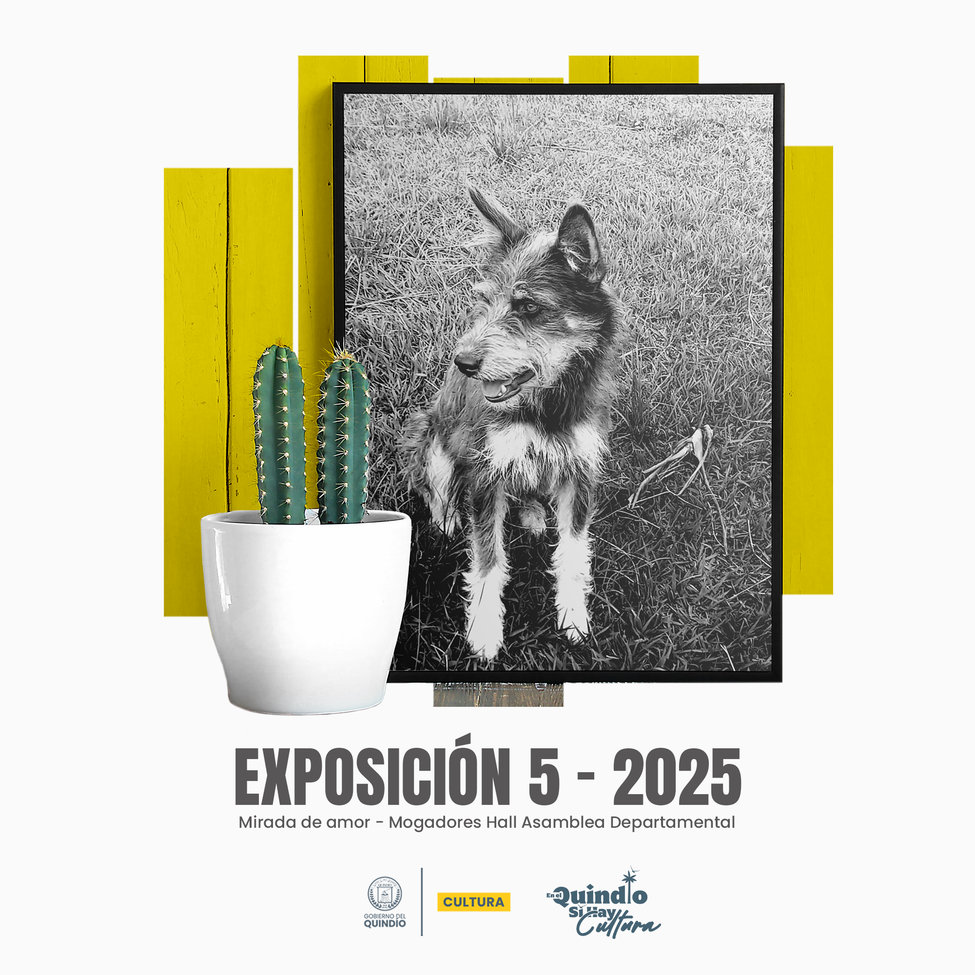 5 EXPOSICION MIRADA DE AMOR WEB