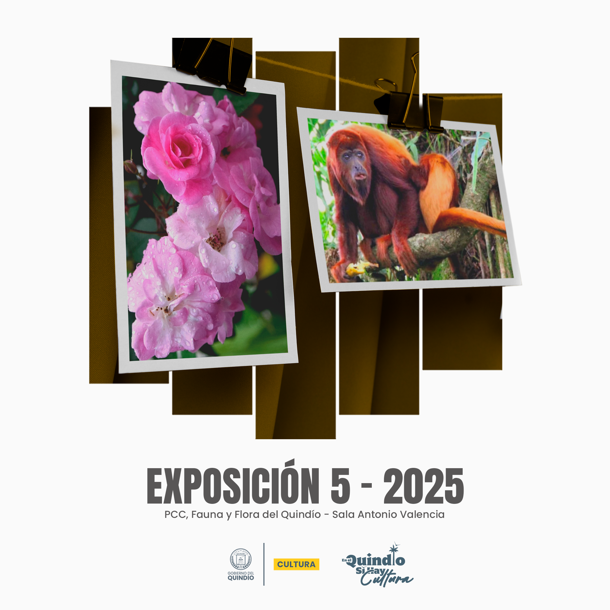 5 EXPOSICION PCC ANME WEB