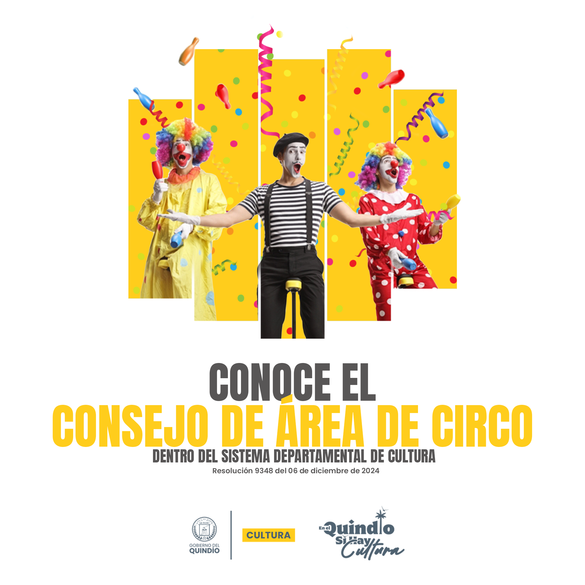 CREACION CONSEJO AREA CIRCO