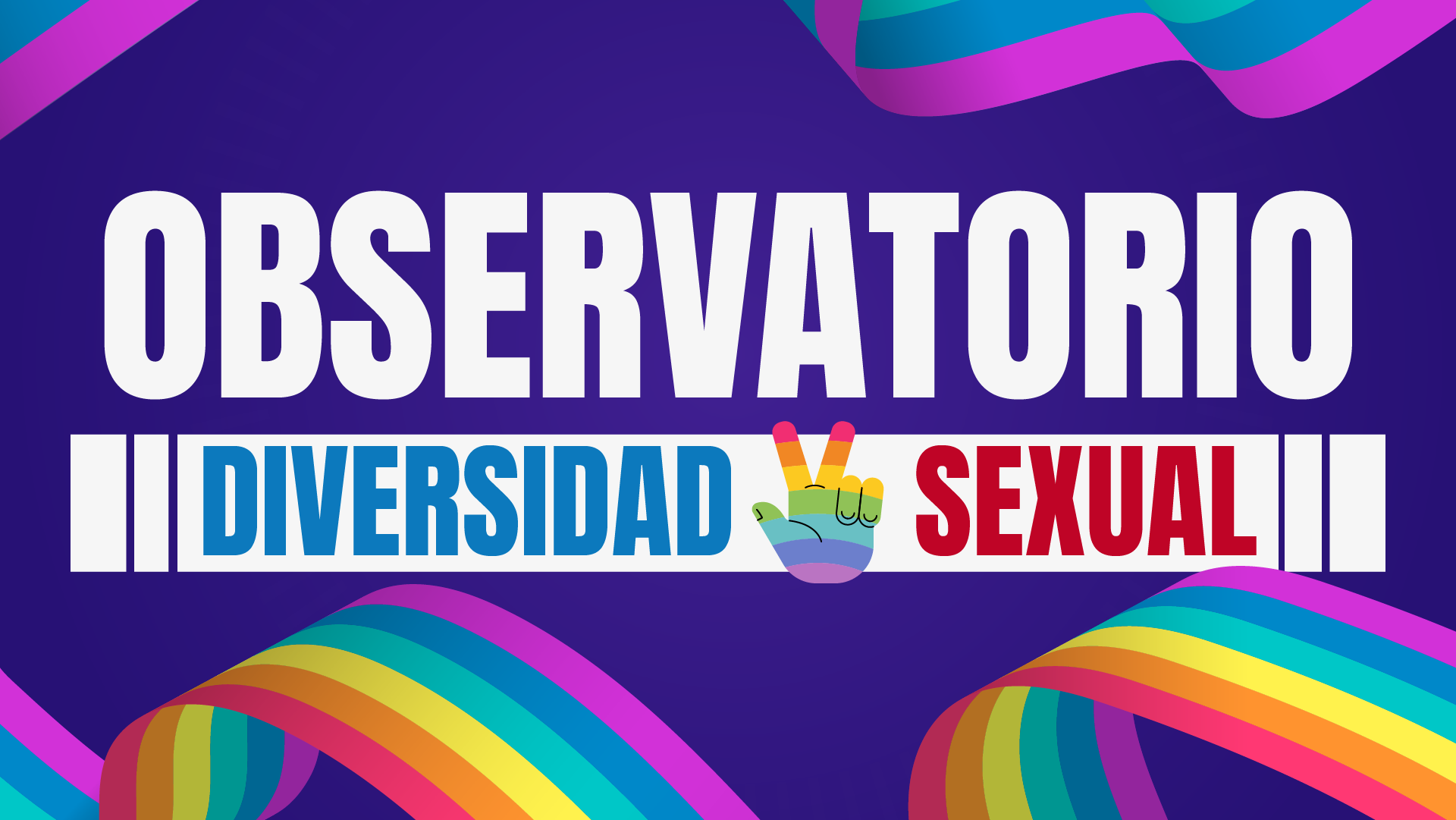 bannerobservatoriodiversidadsexual