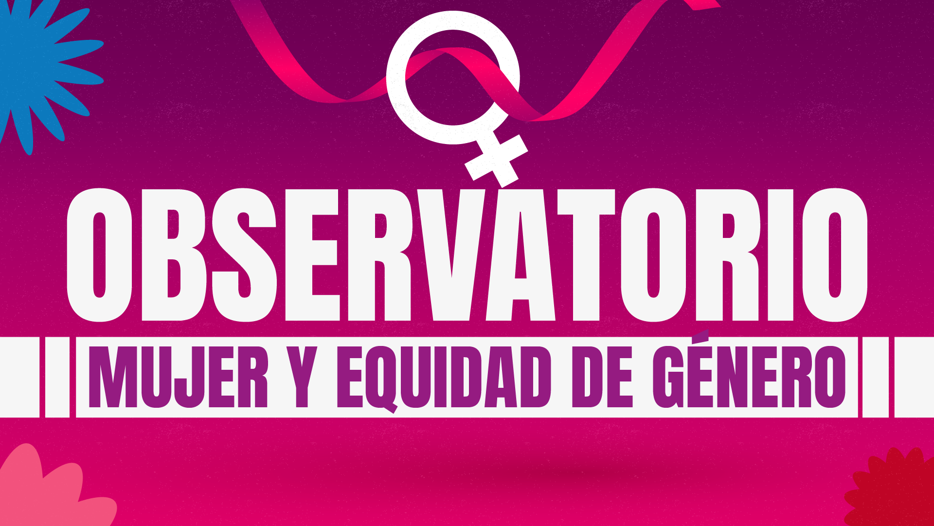 bannerobservatoriomujeryequidad