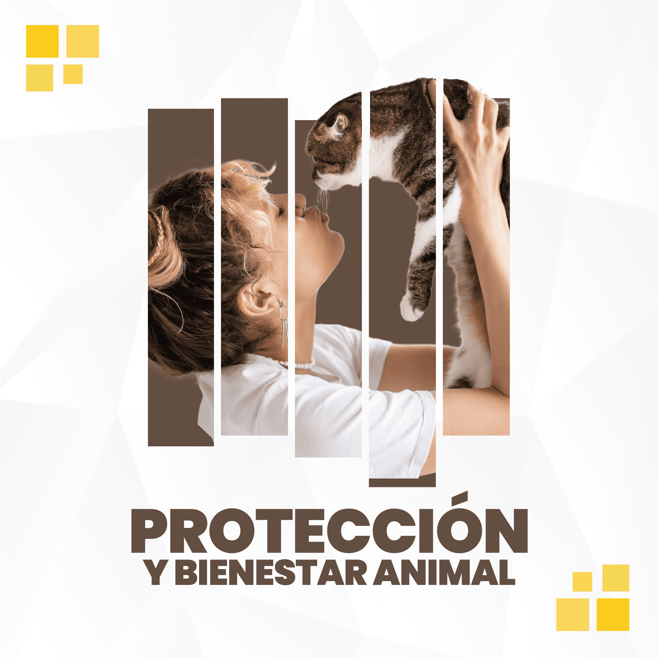 Portadas 01