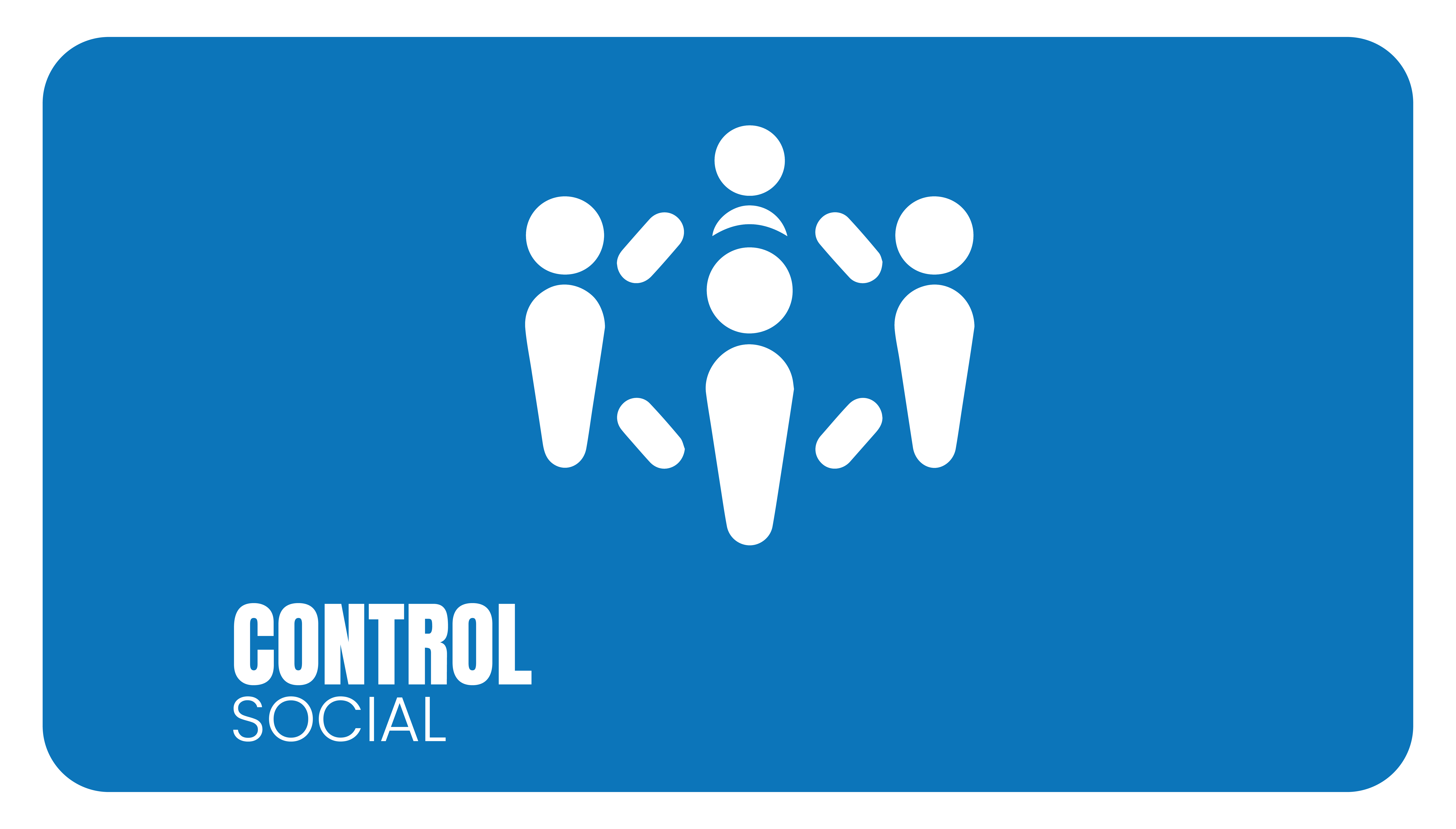 4 CONTROL SOCIAL