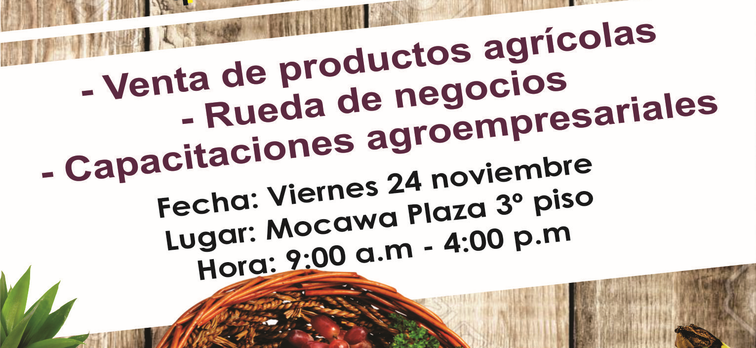 Este viernes se realizará el Mercado Campesino en Armenia una oportunidad para apoyar el campo y los productos del Quindío Slide
