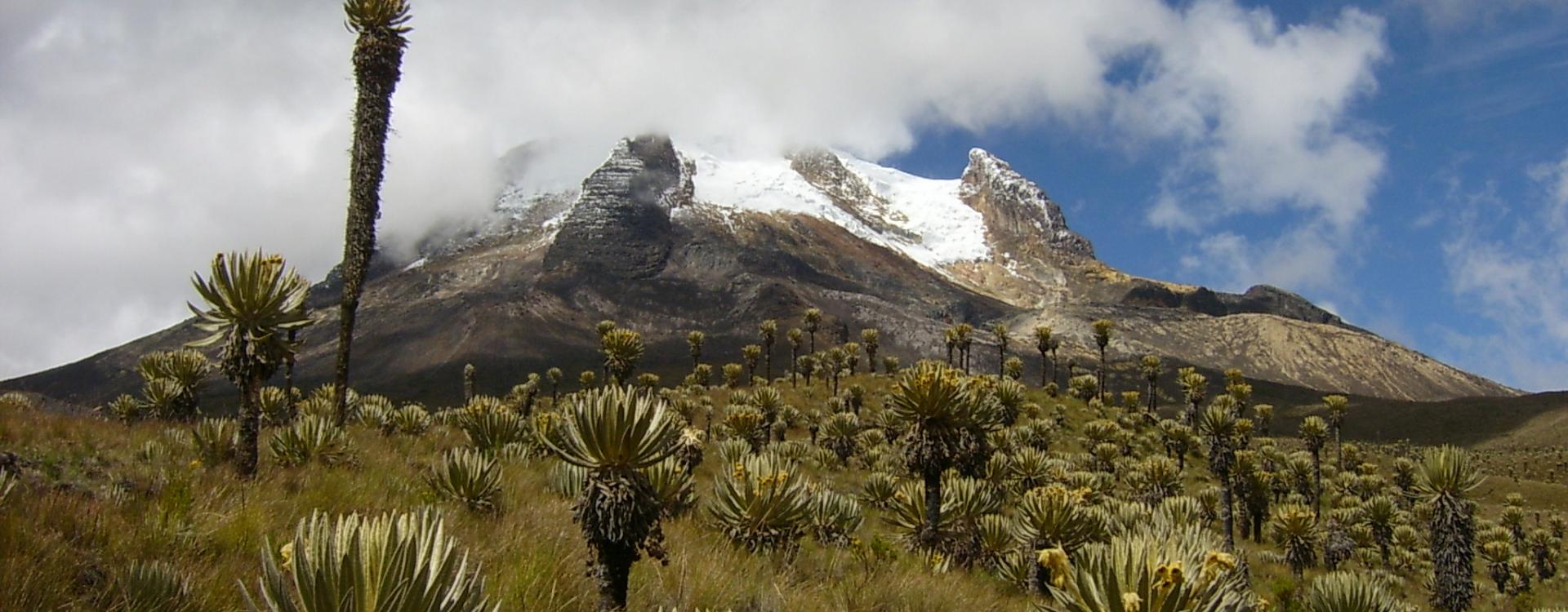 Gobernación del Quindío tomó medidas para garantizar protocolos de acceso seguro al Parque Nacional Natural Los Nevados