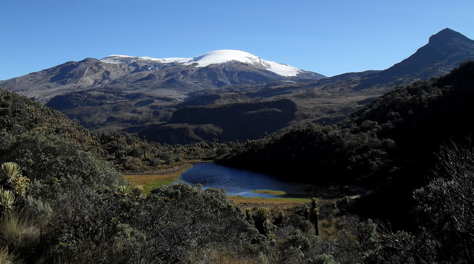 Quindío se prepara para declarar zona del Parque Nacional Natural de Los Nevados como patrimonio de la Humanidad
