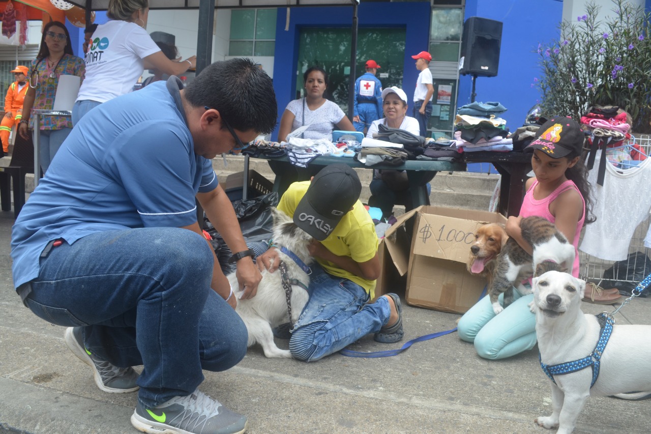 Este sábado en Pijao se realizará jornada de vacunación para perros y gatos